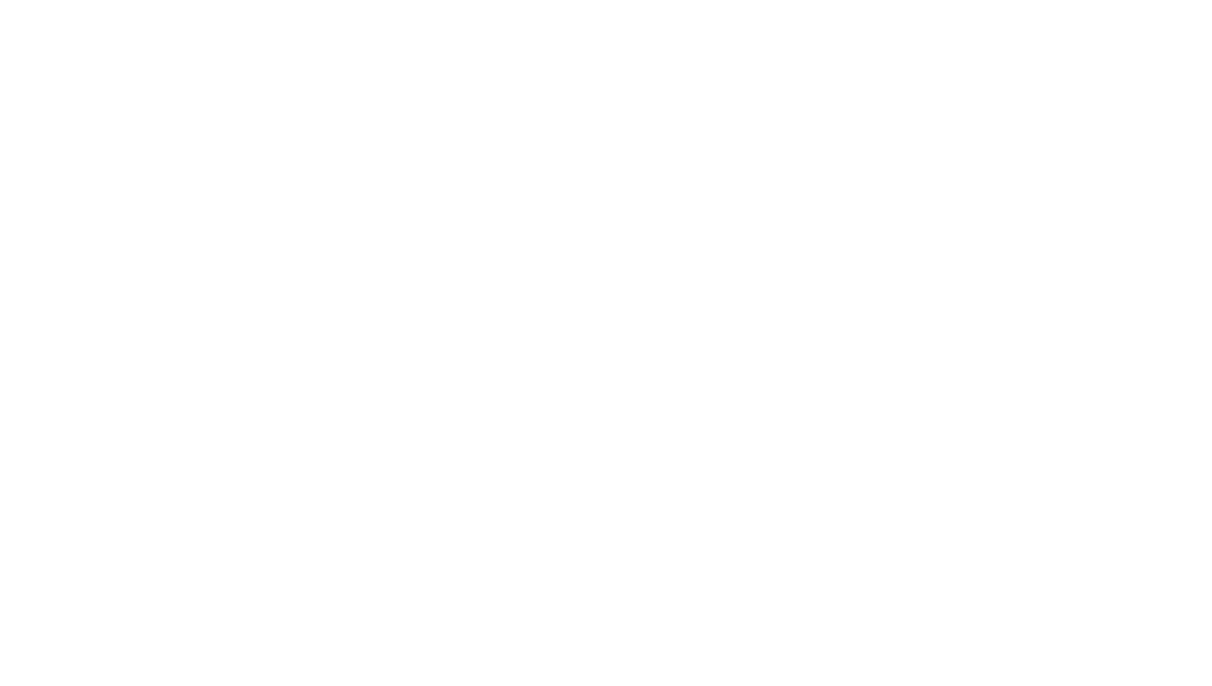 LAVS Productions